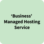 ‘Business’ Managed Hosting Service