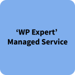 ‘WP Expert’ Managed Service