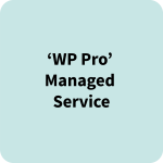 ‘WP Pro’ Managed Service